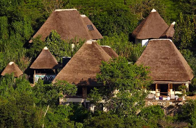 Bwindi Lodge — Buhoma Sector, Bwindi Impenetrable Forest, Uganda